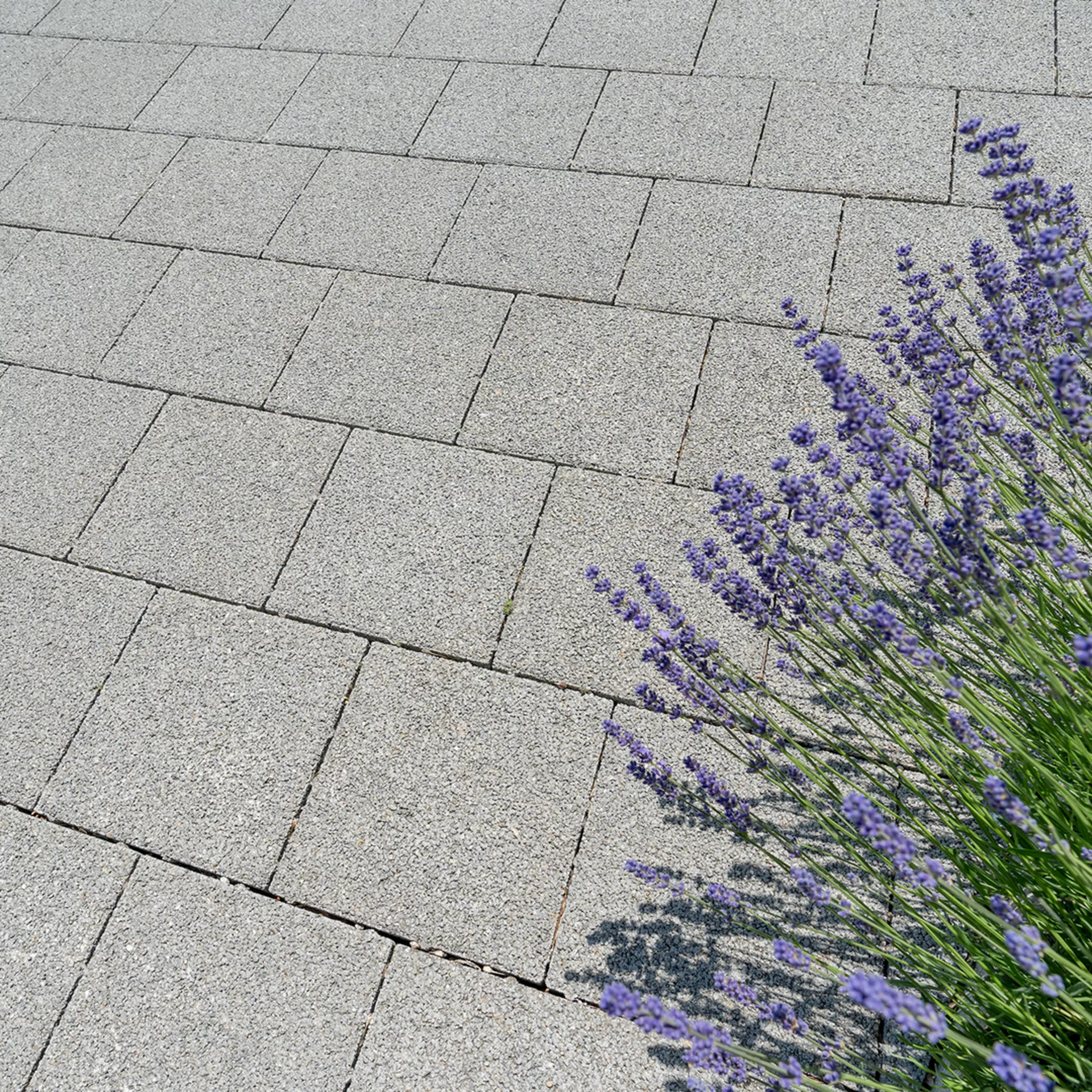 CARENA<sup>®</sup> Sickersteine fino gefast