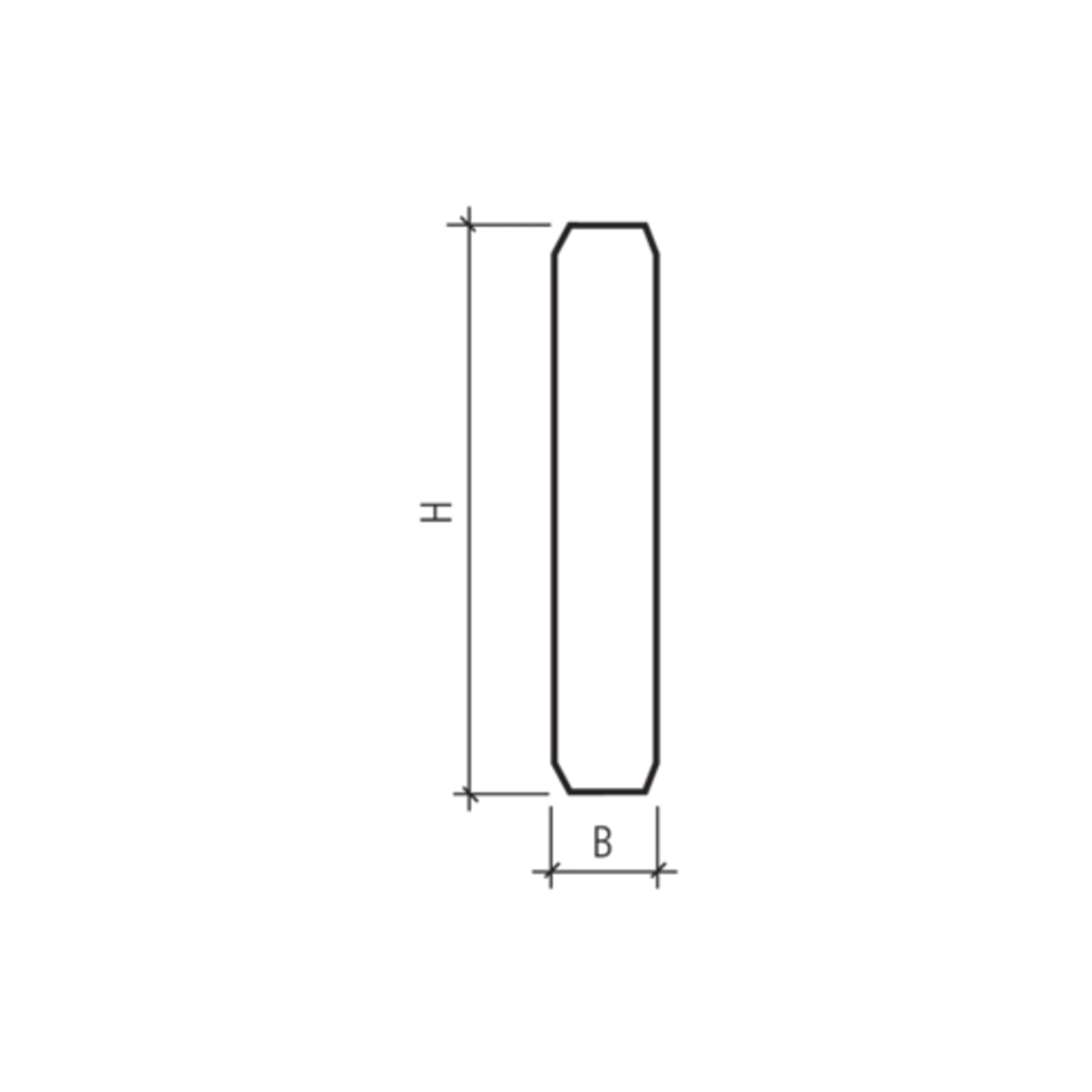 FINALGO Vakuum Stellriemen / Randplatten