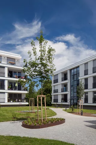 ARENA Vista<sup>®</sup> Pflastersteine