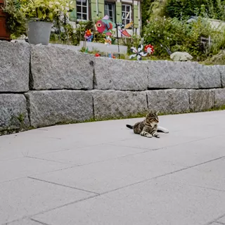 GLORIA Gartenplatten