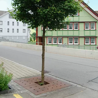 COPAL<sup>®</sup> STEEL Stahlbaumscheiben