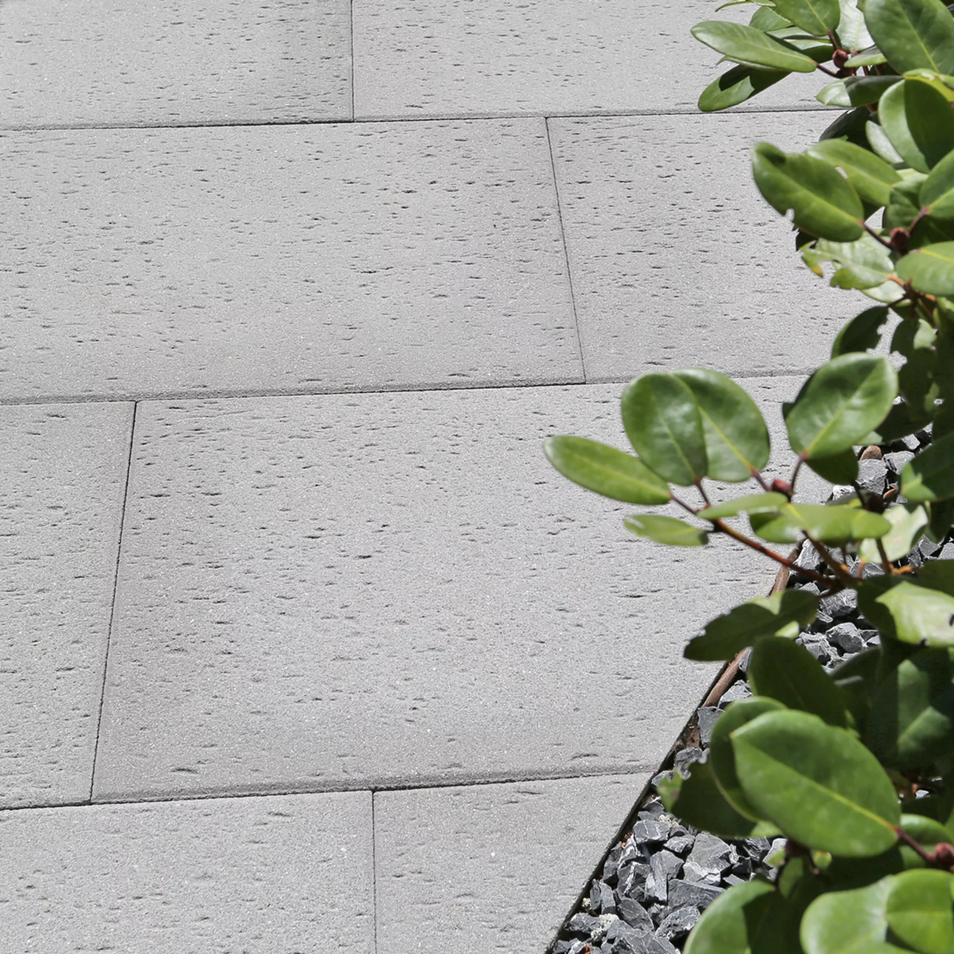 STRUKTURA Gehwegplatten mit Travertinstruktur