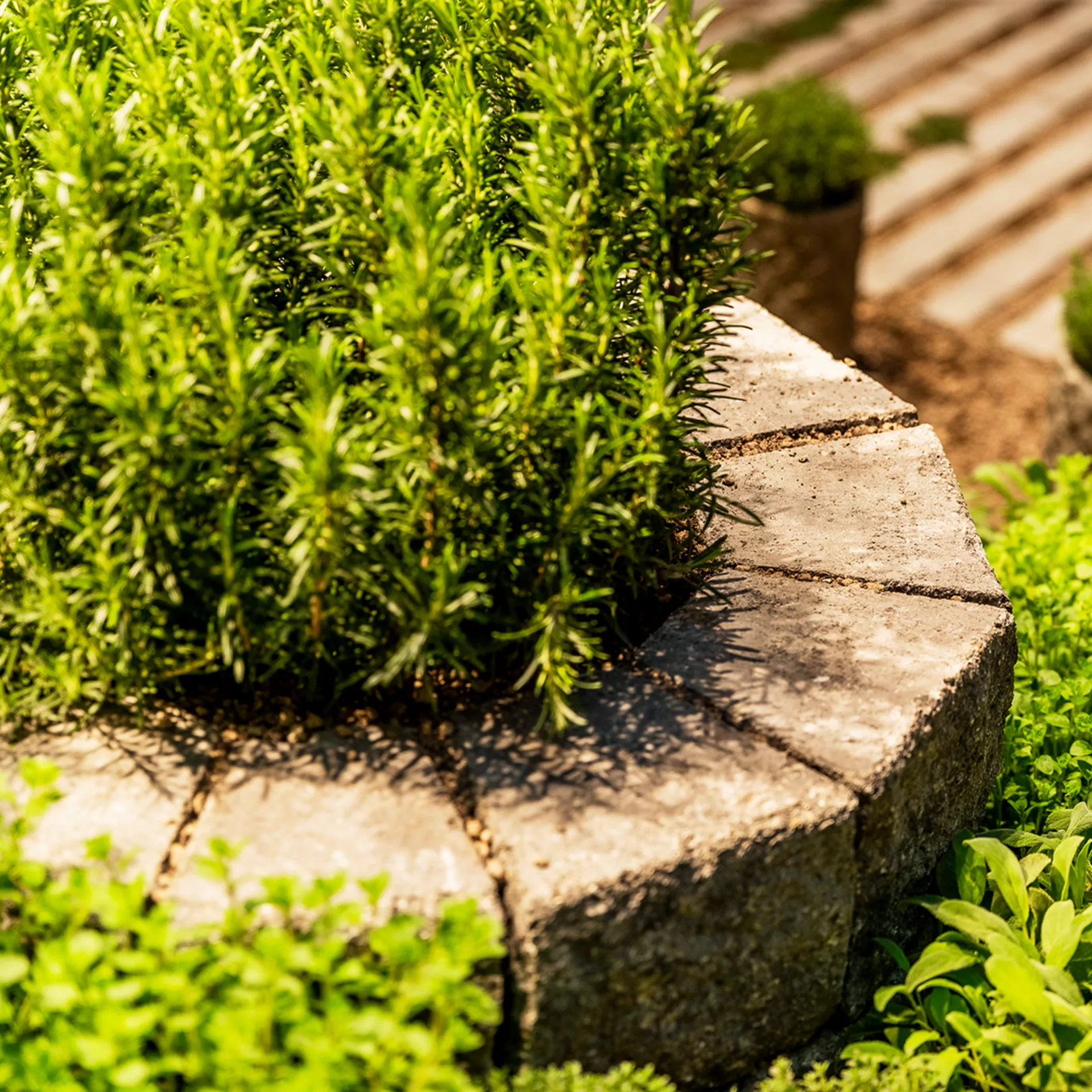 SANTURO<sup>®</sup> Kräuterschnecke Finito