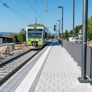 CARENA<sup>®</sup> Pflastersteine gefast gewaschen