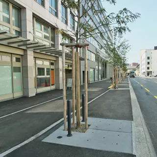 Entourages d'arbres BAUMFIX<sup>®</sup>