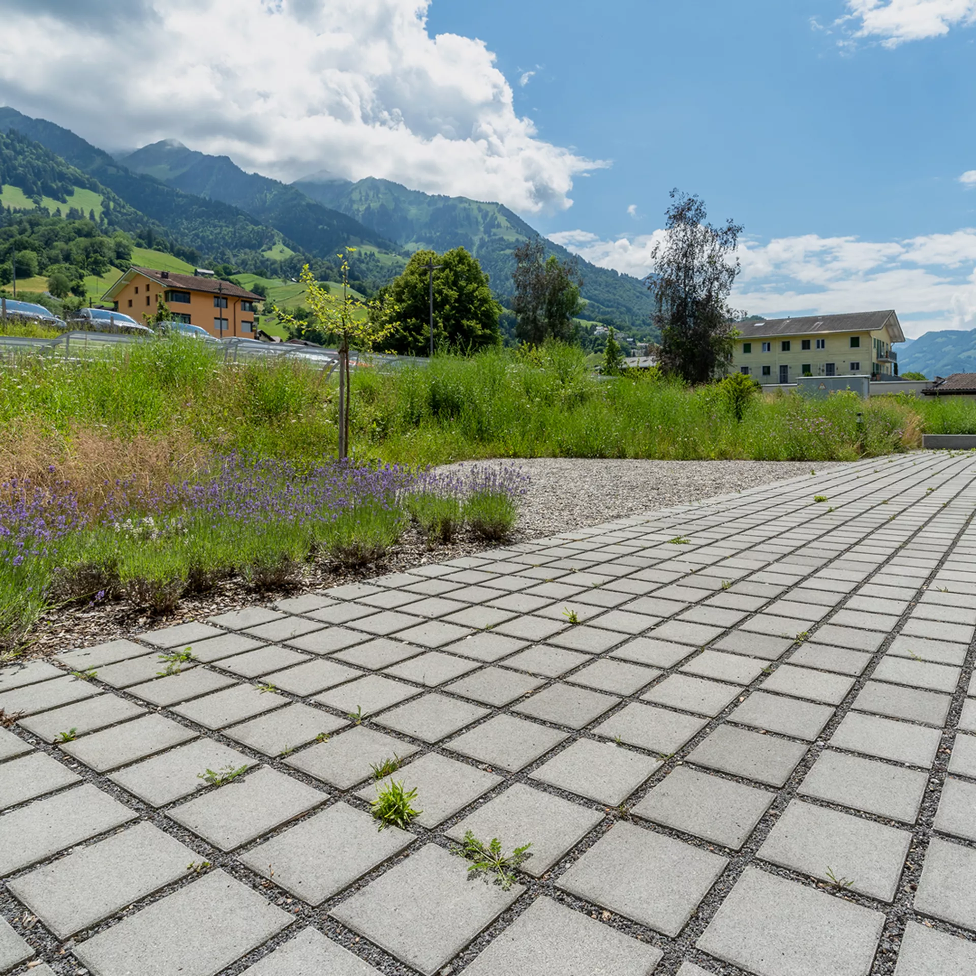 CARENA<sup>®</sup> RASEN Ökosteine gefast