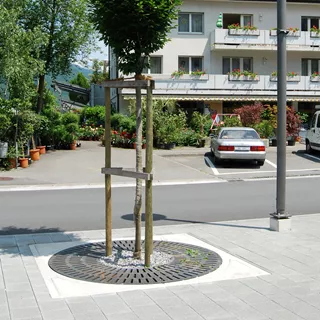 COPAL<sup>®</sup> CUPOLA Baumwurzelraumschutz