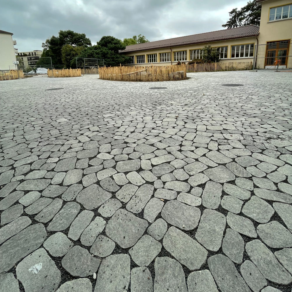 ARENA Vista® Pflastersteine ARENA Vista® Pflastersteine