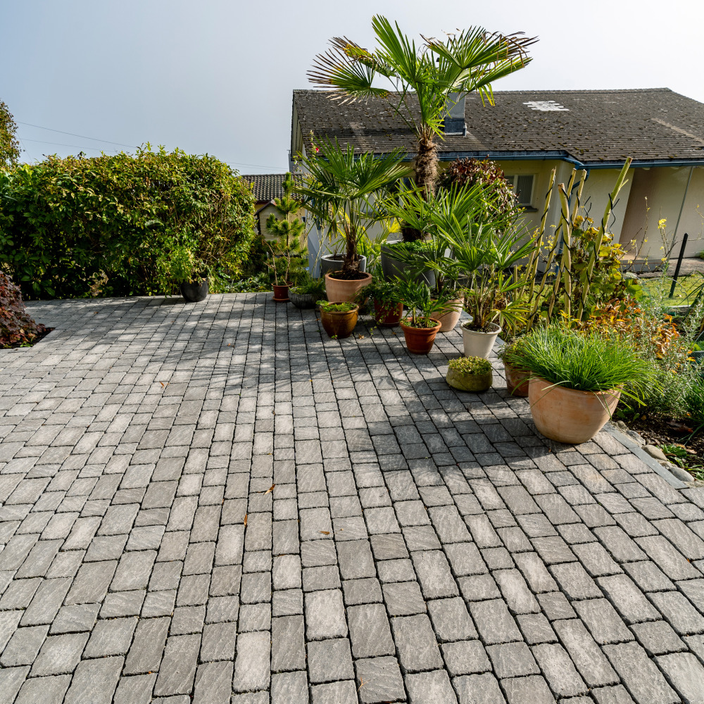 Pavés sauvages FRIEDA® Pavés sauvages FRIEDA®