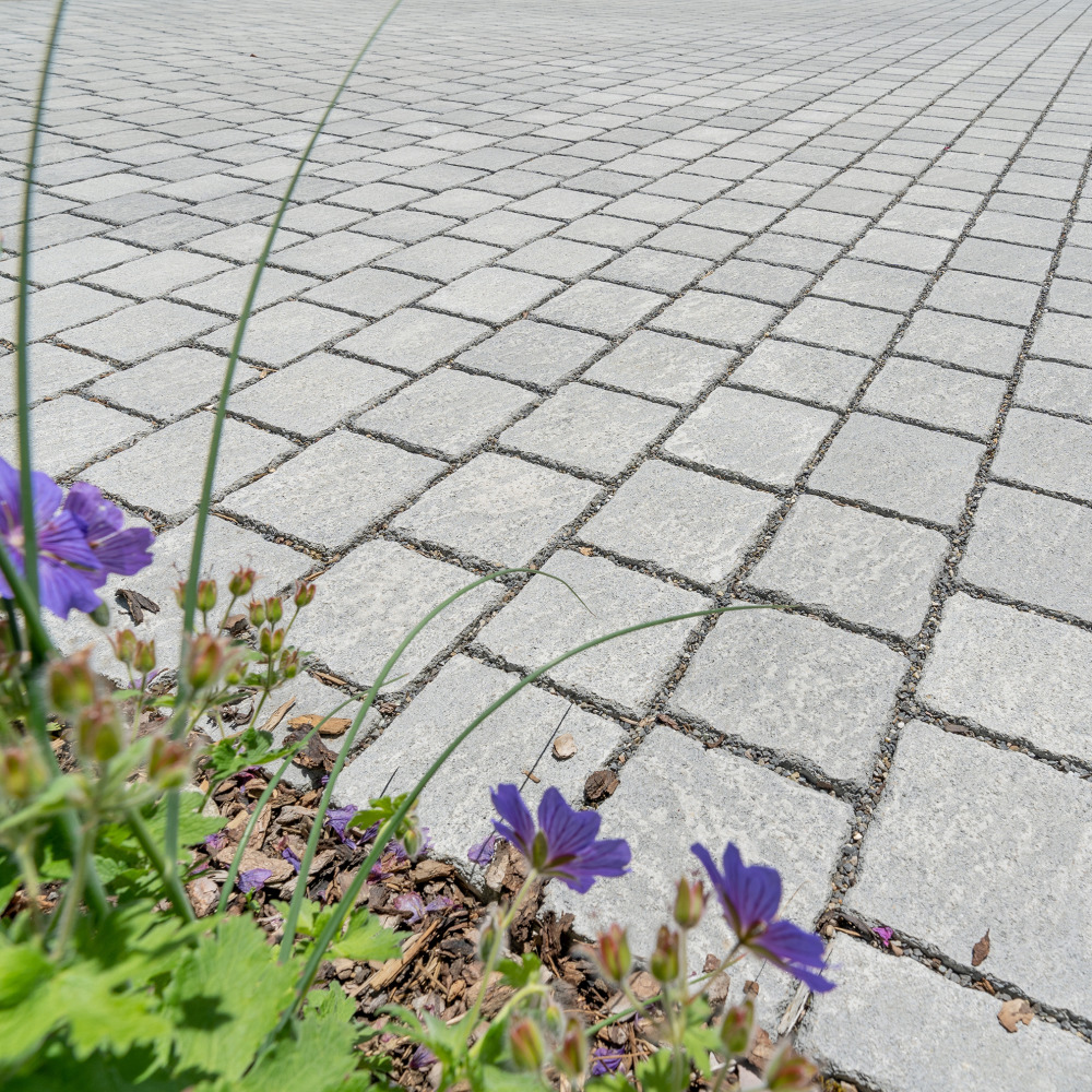 Pavés écologiques FRIEDA ® DRAIN arêtes cassées
