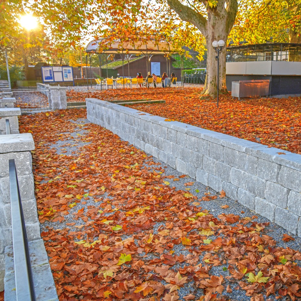 Mur de vignes VERZASCA®