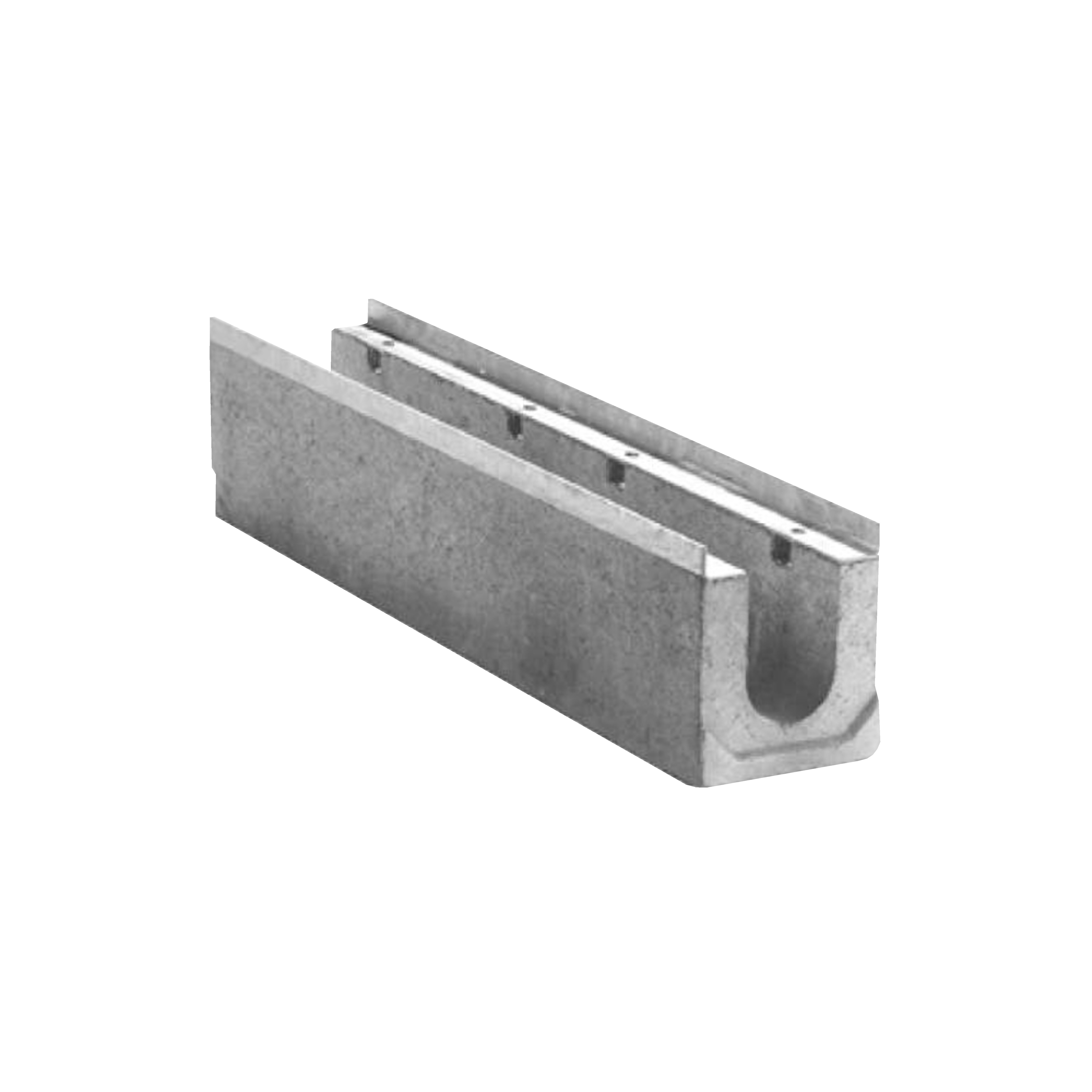 BIRCOsir® Rinnen NW 100
