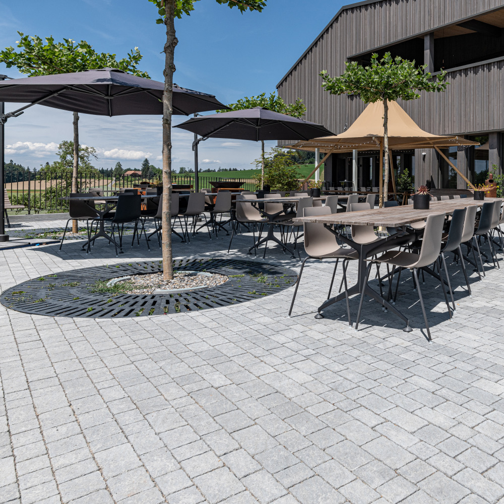 Pavés sauvages FRIEDA® Pavés sauvages FRIEDA®