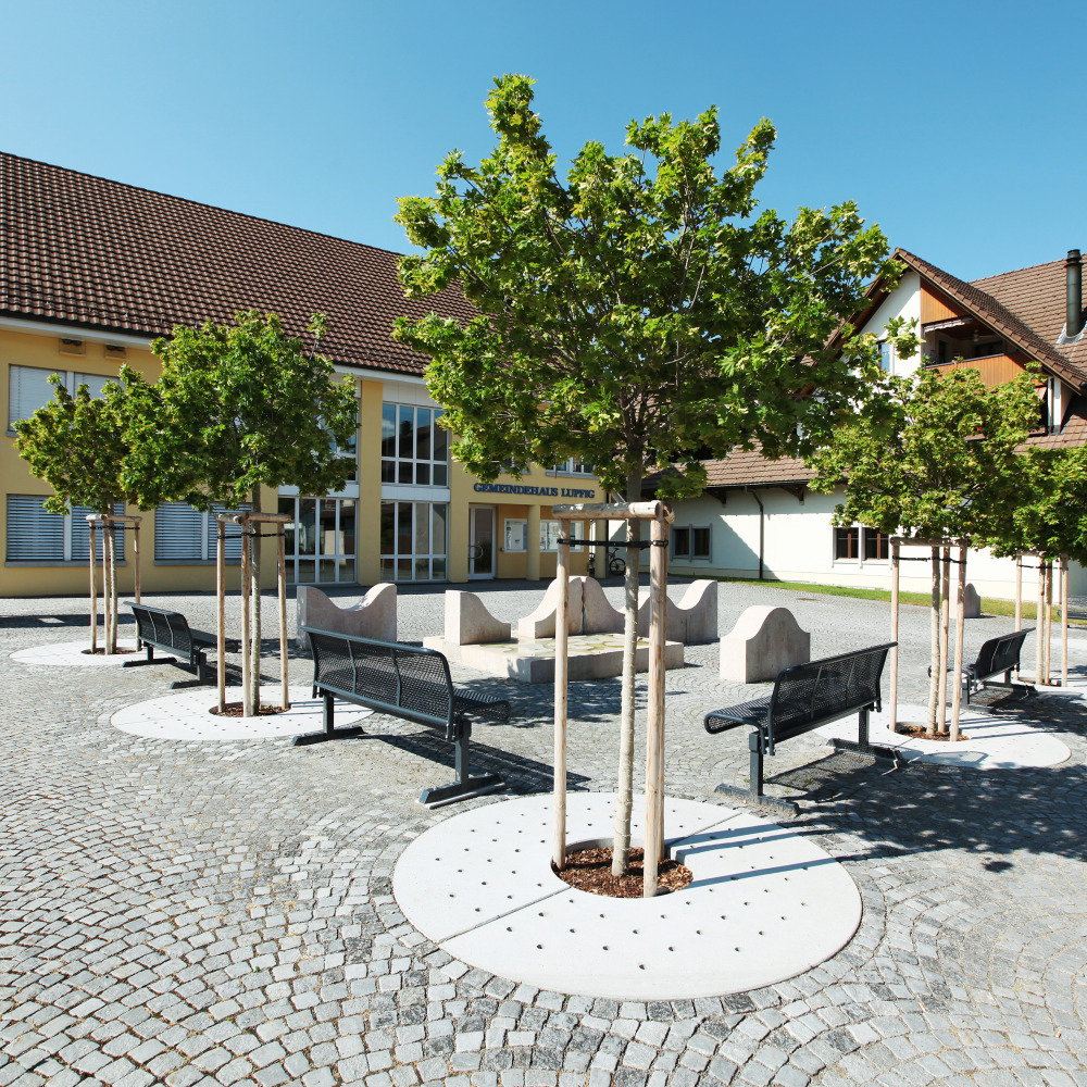 Protection de l'espace racinaire des arbres TREETUB