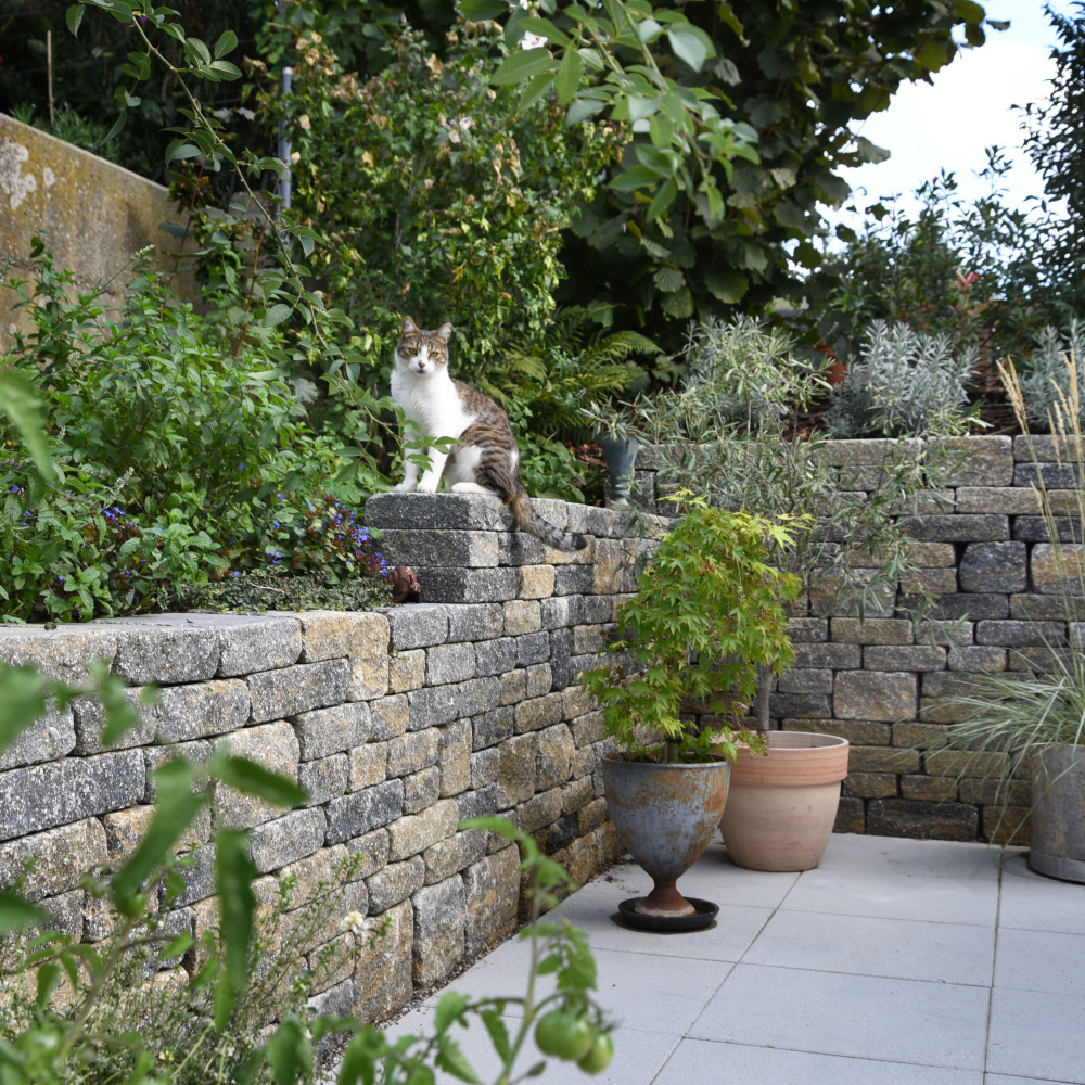 Mur de vignes VERZASCA®