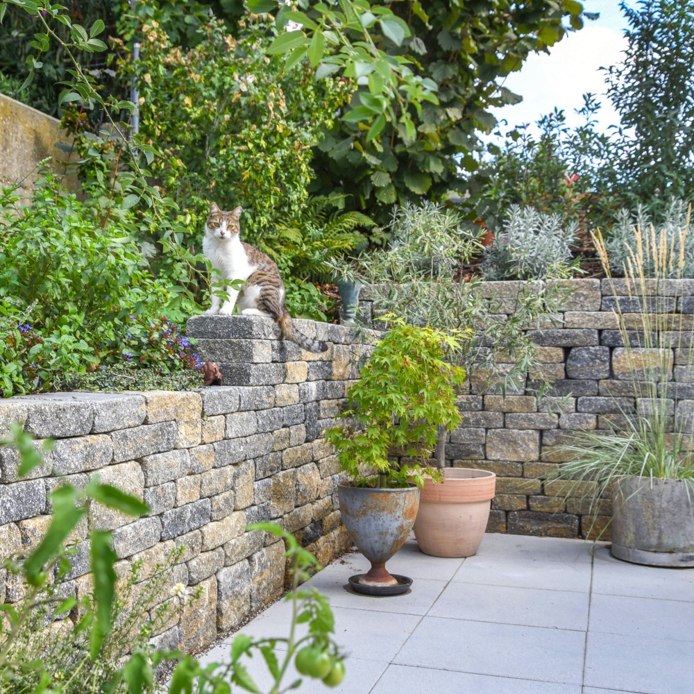 Mur de vignes VERZASCA®